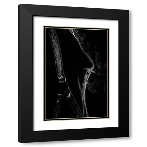 Black as Night Black Modern Wood Framed Art Print with Double Matting by The Yellowstone Collection