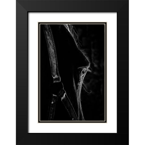 Black as Night Black Modern Wood Framed Art Print with Double Matting by The Yellowstone Collection