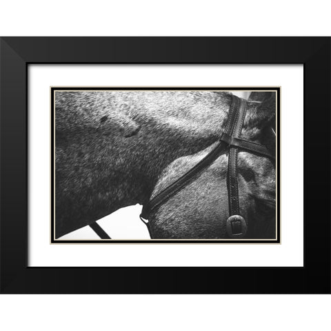 Bridle Black Modern Wood Framed Art Print with Double Matting by The Yellowstone Collection