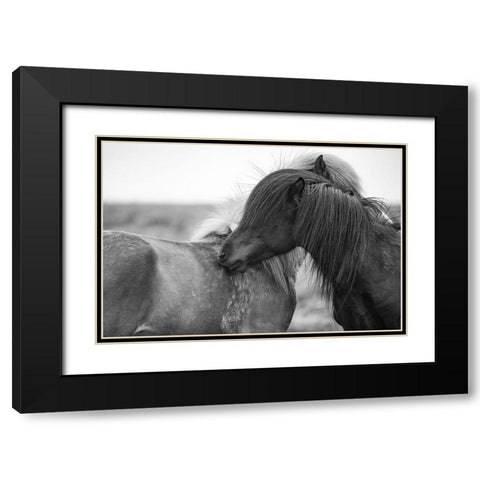 Close Friends Black Modern Wood Framed Art Print with Double Matting by The Yellowstone Collection