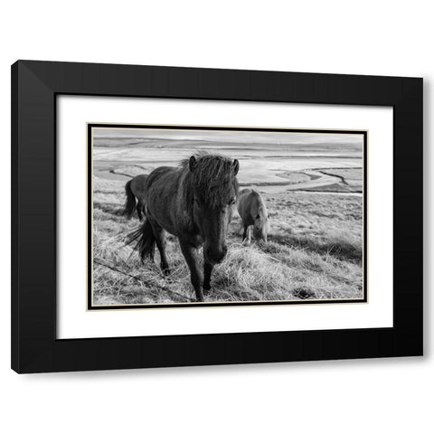 Dry Grass Lunch Black Modern Wood Framed Art Print with Double Matting by The Yellowstone Collection