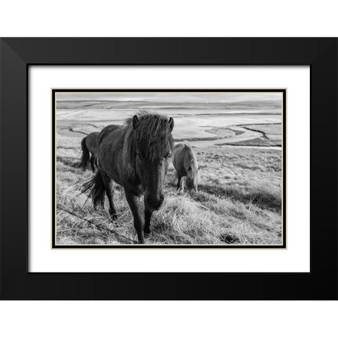 Dry Grass Lunch Black Modern Wood Framed Art Print with Double Matting by The Yellowstone Collection
