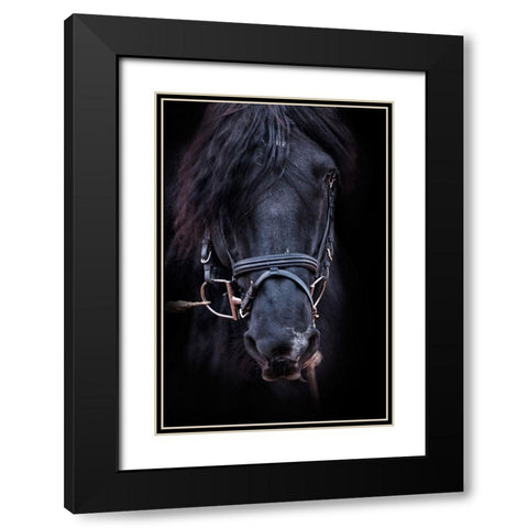 Equus Black Modern Wood Framed Art Print with Double Matting by The Yellowstone Collection