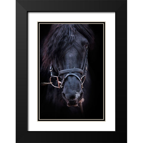 Equus Black Modern Wood Framed Art Print with Double Matting by The Yellowstone Collection