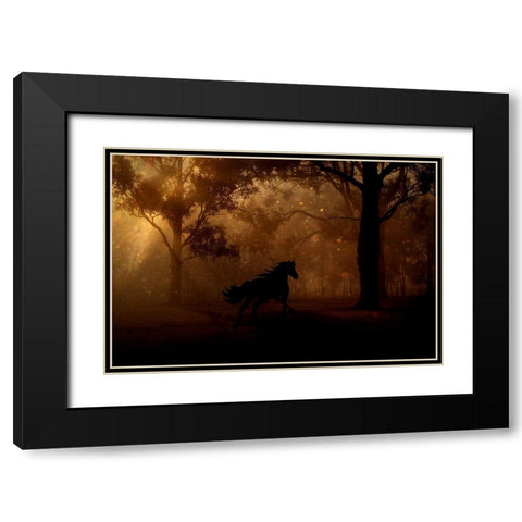 Forest Shadows Black Modern Wood Framed Art Print with Double Matting by The Yellowstone Collection