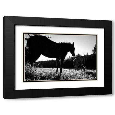 Frank Church-River of No Return Wilderness, Payette National Forest II Black Modern Wood Framed Art Print with Double Matting by The Yellowstone Collection