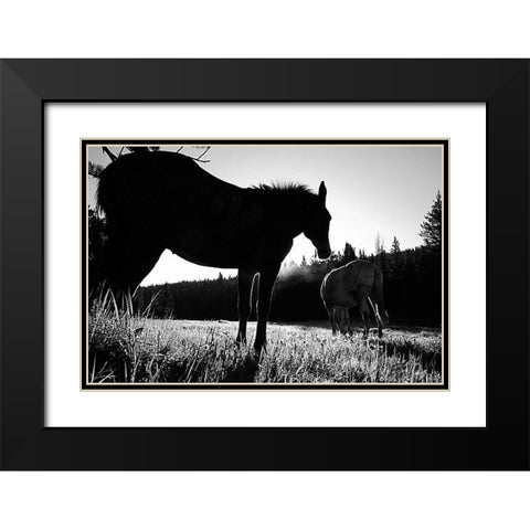 Frank Church-River of No Return Wilderness, Payette National Forest II Black Modern Wood Framed Art Print with Double Matting by The Yellowstone Collection