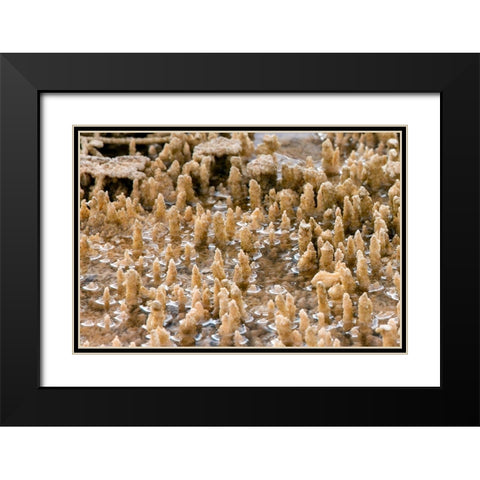 Calcium Carbonate Formations, Mammoth Hot Springs, Yellowstone National Park Black Modern Wood Framed Art Print with Double Matting by Renkin, Diane