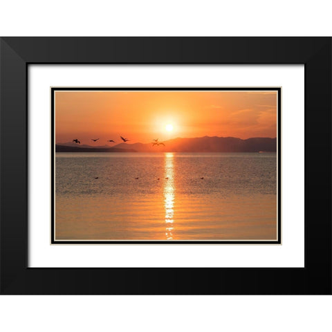 Canada Geese on Yellowstone Lake, Yellowstone National Park Black Modern Wood Framed Art Print with Double Matting by The Yellowstone Collection
