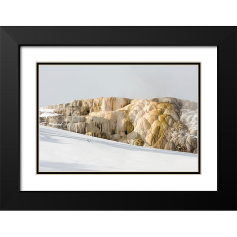 Cleopatra Spring, Mammoth Hot Springs, Yellowstone National Park Black Modern Wood Framed Art Print with Double Matting by The Yellowstone Collection