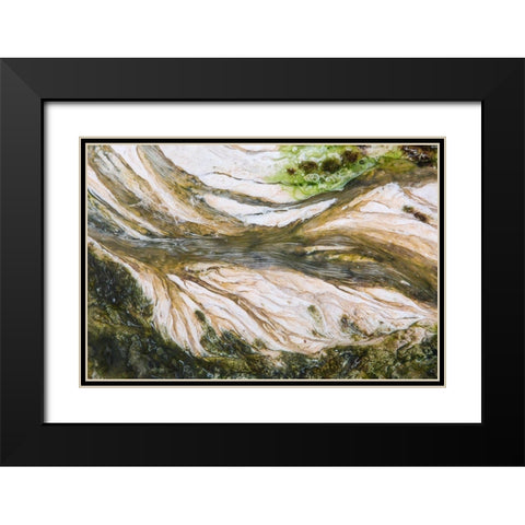 Colorful Bacteria at Mammoth Hot Springs, Yellowstone National Park Black Modern Wood Framed Art Print with Double Matting by The Yellowstone Collection
