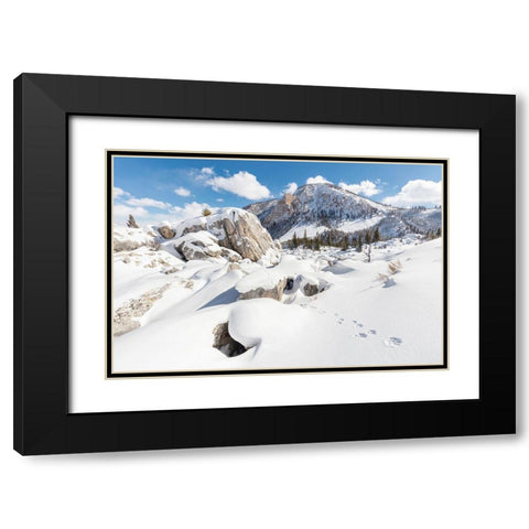 Coyote tracks in the Hoodoos, Yellowstone National Park Black Modern Wood Framed Art Print with Double Matting by The Yellowstone Collection