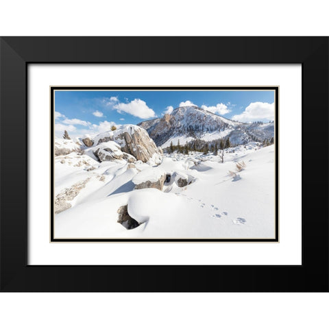 Coyote tracks in the Hoodoos, Yellowstone National Park Black Modern Wood Framed Art Print with Double Matting by The Yellowstone Collection