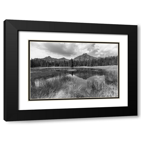 Custer-Gallatin National Forest, Knox Lake Trail, Yellowstone National Park Black Modern Wood Framed Art Print with Double Matting by The Yellowstone Collection