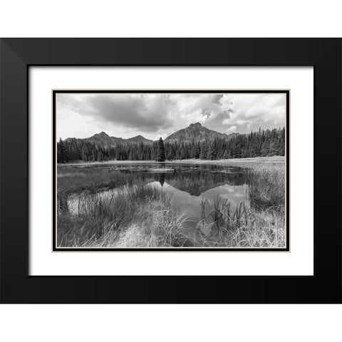Custer-Gallatin National Forest, Knox Lake Trail, Yellowstone National Park Black Modern Wood Framed Art Print with Double Matting by The Yellowstone Collection