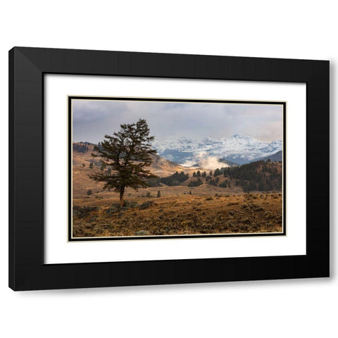 Cutoff Mountain from Lamar Valley, Yellowstone National Park Black Modern Wood Framed Art Print with Double Matting by The Yellowstone Collection