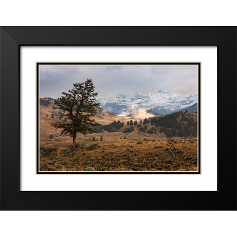 Cutoff Mountain from Lamar Valley, Yellowstone National Park Black Modern Wood Framed Art Print with Double Matting by The Yellowstone Collection