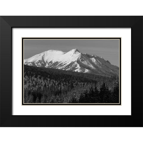 Electric Peak from Obsidian Canyon, Yellowstone National Park Black Modern Wood Framed Art Print with Double Matting by Frank, Jacob W.