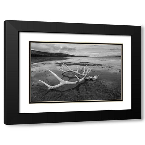 Elk Antlers, Yellowstone Lake, Yellowstone National Park Black Modern Wood Framed Art Print with Double Matting by The Yellowstone Collection