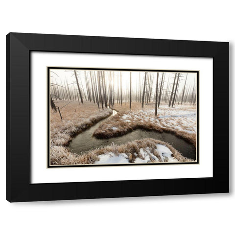 Foggy Morning at Tangled Creek, Yellowstone National Park Black Modern Wood Framed Art Print with Double Matting by The Yellowstone Collection