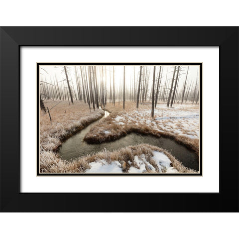 Foggy Morning at Tangled Creek, Yellowstone National Park Black Modern Wood Framed Art Print with Double Matting by The Yellowstone Collection