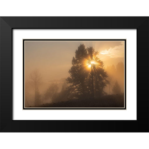 Foggy Sunrise, Blacktail Deer Plateau, Yellowstone National Park Black Modern Wood Framed Art Print with Double Matting by The Yellowstone Collection