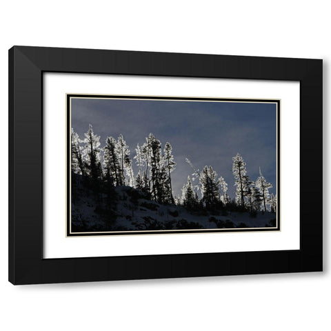 Frosted Trees in Gibbon Canyon, Yellowstone National Park Black Modern Wood Framed Art Print with Double Matting by Peaco, Jim