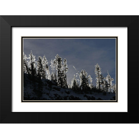 Frosted Trees in Gibbon Canyon, Yellowstone National Park Black Modern Wood Framed Art Print with Double Matting by Peaco, Jim