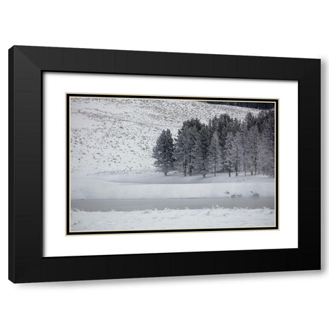 Frosty Trees in Hayden Valley, Yellowstone National Park Black Modern Wood Framed Art Print with Double Matting by The Yellowstone Collection