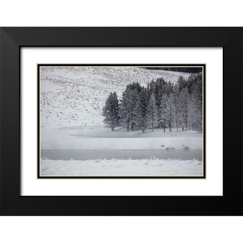 Frosty Trees in Hayden Valley, Yellowstone National Park Black Modern Wood Framed Art Print with Double Matting by The Yellowstone Collection