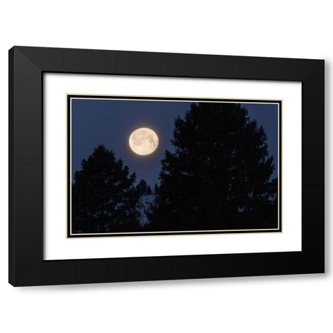 Full Moon sets Over Sepulcher Mountain, Yellowstone National Park Black Modern Wood Framed Art Print with Double Matting by The Yellowstone Collection