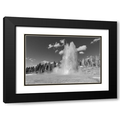 Grand Geyser Eruption, Yellowstone National Park Black Modern Wood Framed Art Print with Double Matting by The Yellowstone Collection