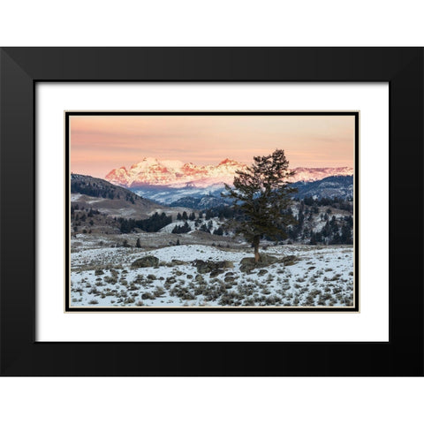 Last light on Cutoff Mountain, Yellowstone National Park Black Modern Wood Framed Art Print with Double Matting by The Yellowstone Collection