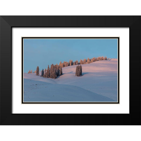 Last Light on Flanks of Bison Peak, Yellowstone National Park Black Modern Wood Framed Art Print with Double Matting by The Yellowstone Collection