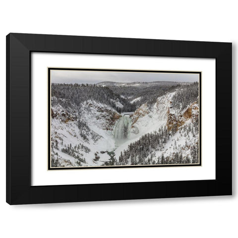 Lower Falls from Lookout Point, Yellowstone National Park Black Modern Wood Framed Art Print with Double Matting by Frank, Jacob W.