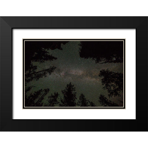 Milky Way and Lodgepole Pines, Yellowstone National Park Black Modern Wood Framed Art Print with Double Matting by The Yellowstone Collection