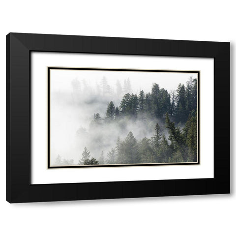 Morning Fog near Tower Fall, Yellowstone National Park Black Modern Wood Framed Art Print with Double Matting by The Yellowstone Collection