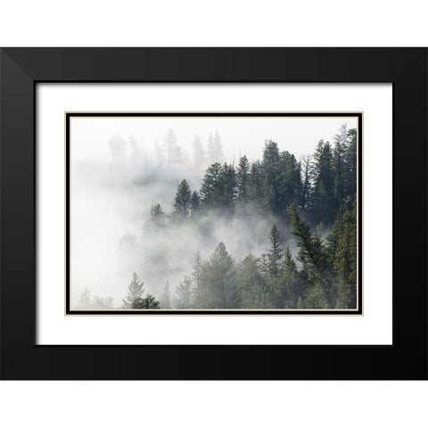 Morning Fog near Tower Fall, Yellowstone National Park Black Modern Wood Framed Art Print with Double Matting by The Yellowstone Collection