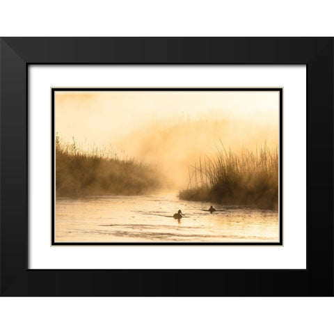 Morning Steam on the Madison River, Yellowstone National Park Black Modern Wood Framed Art Print with Double Matting by The Yellowstone Collection