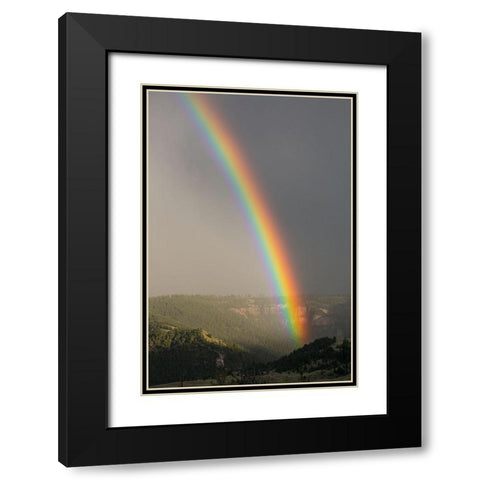 Gardner River Canyon near Mammoth, Yellowstone National Park Black Modern Wood Framed Art Print with Double Matting by The Yellowstone Collection
