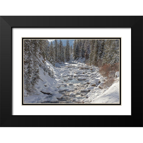 Soda Butte Creek, Yellowstone National Park Black Modern Wood Framed Art Print with Double Matting by Renkin, Diane