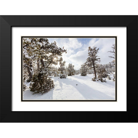 Snow Slurries at Mammoth Hot Springs Terraces, Yellowstone National Park Black Modern Wood Framed Art Print with Double Matting by The Yellowstone Collection