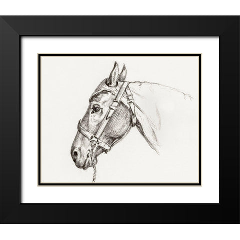 Head of a Horse I 1819 Black Modern Wood Framed Art Print with Double Matting by Bernard, Jean