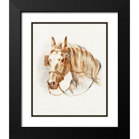 Head of a Horse IV  Black Modern Wood Framed Art Print with Double Matting by Bernard, Jean