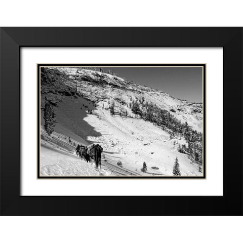 Cougar Basin Payette Black Modern Wood Framed Art Print with Double Matting by Lutz, Jesse