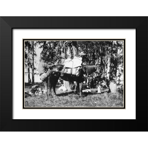 Mule Packing Black Modern Wood Framed Art Print with Double Matting by Vintage Photography