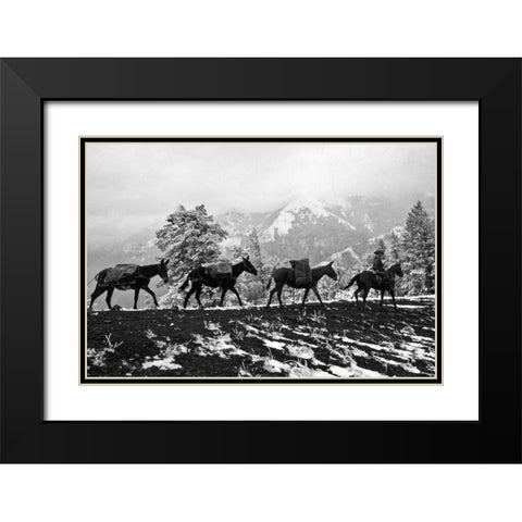 Winter Mule Packing Black Modern Wood Framed Art Print with Double Matting by Vintage Photography