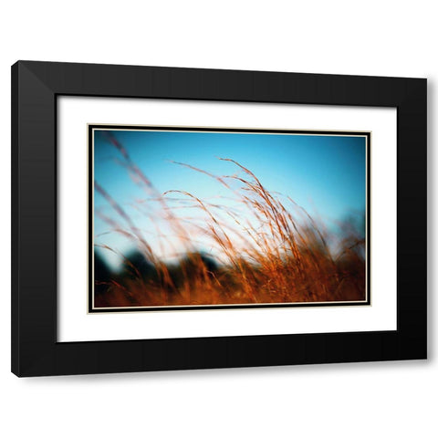 Alabama Grasslands Black Modern Wood Framed Art Print with Double Matting by Alabama Picture Archive