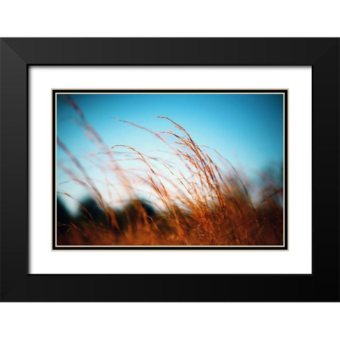 Alabama Grasslands Black Modern Wood Framed Art Print with Double Matting by Alabama Picture Archive