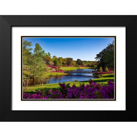 Bellingrath Gardens Alabama I Black Modern Wood Framed Art Print with Double Matting by Alabama Picture Archive